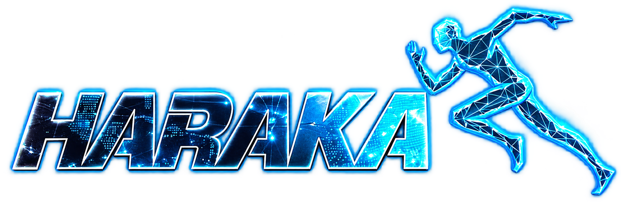 HARAKA BV